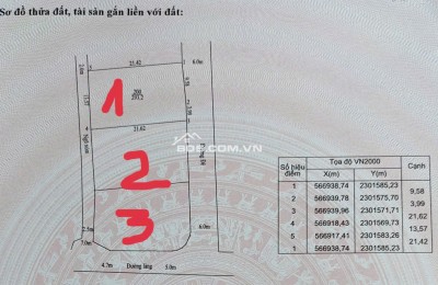 Tôi là Chính chủ Bán đất phân lô biệt thự mặt đường Hồ Chí Minh, Miếu Môn, Chương Mỹ, Hà Nội 22tr/m